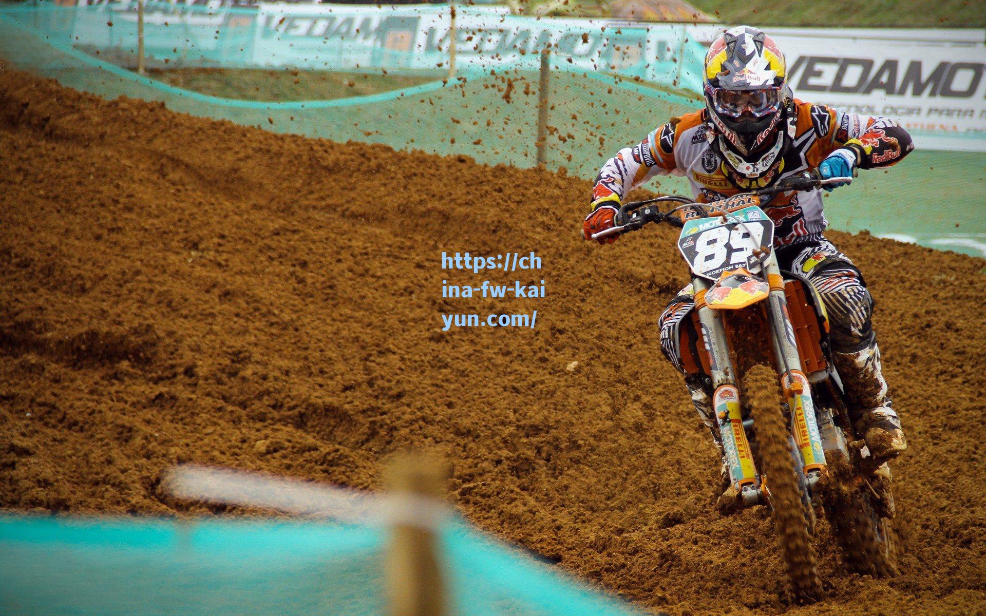 佩莱格里尼深情致谢球迷，你们的表现始终令人惊叹，最痛心无法将奖杯献给你们